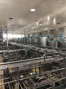 蒙牛工厂迎全球GDP代表参观，以企业智慧夯实合作共赢之基